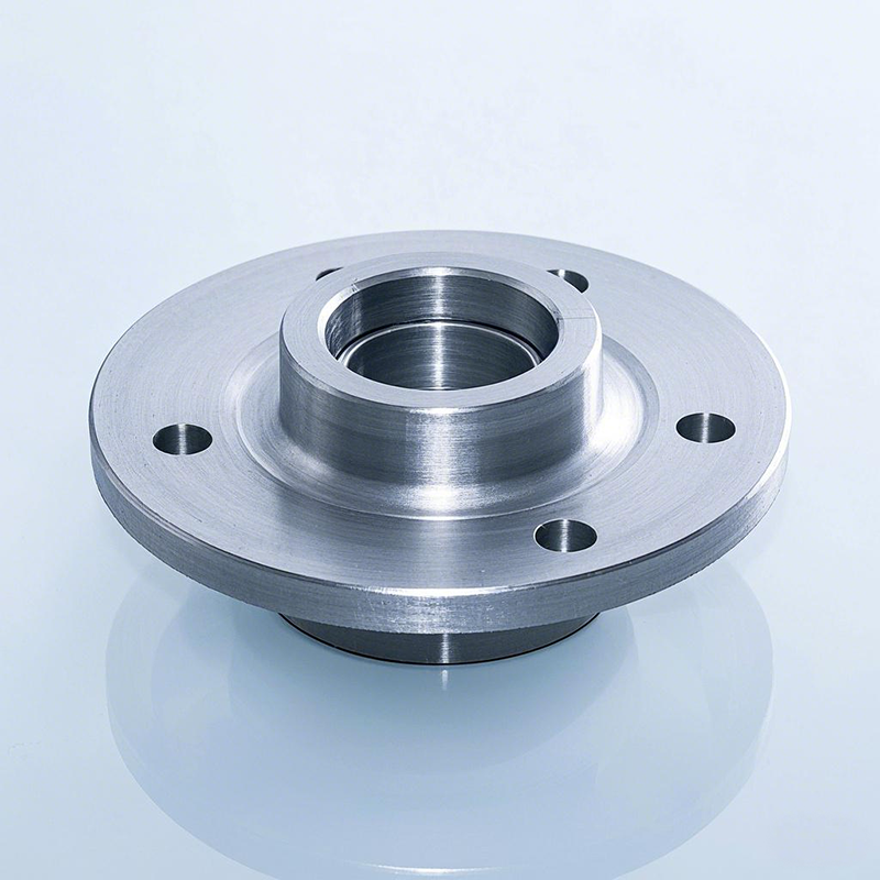 Blind Flange With Threaded Hole2
